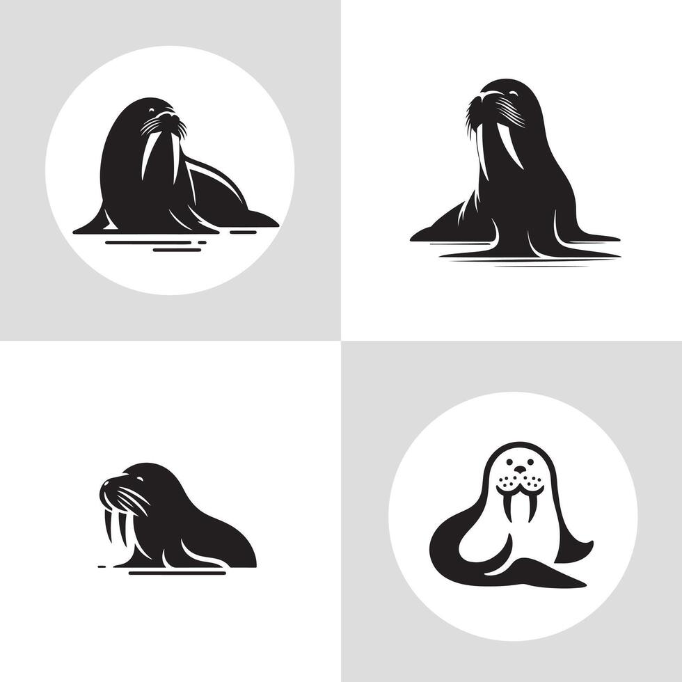 set of Walrus vector