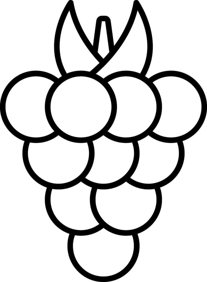 Blackberry Line Icon vector