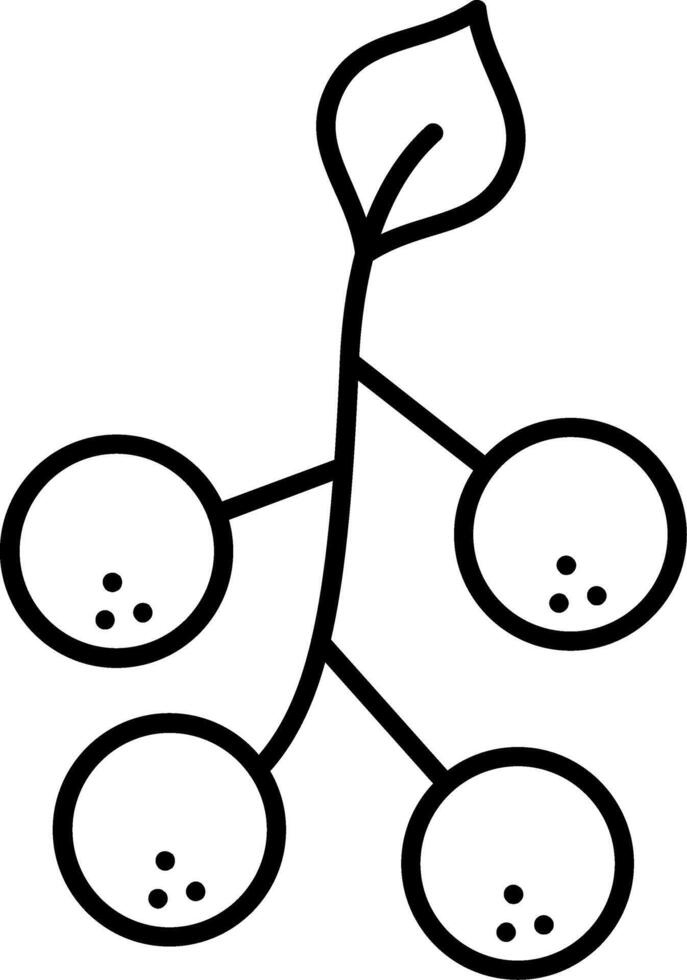 Sunberry Line Icon vector