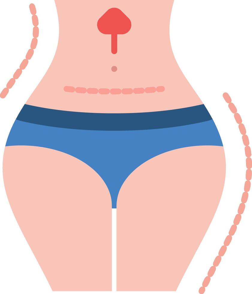 Abdomen Flat Icon vector
