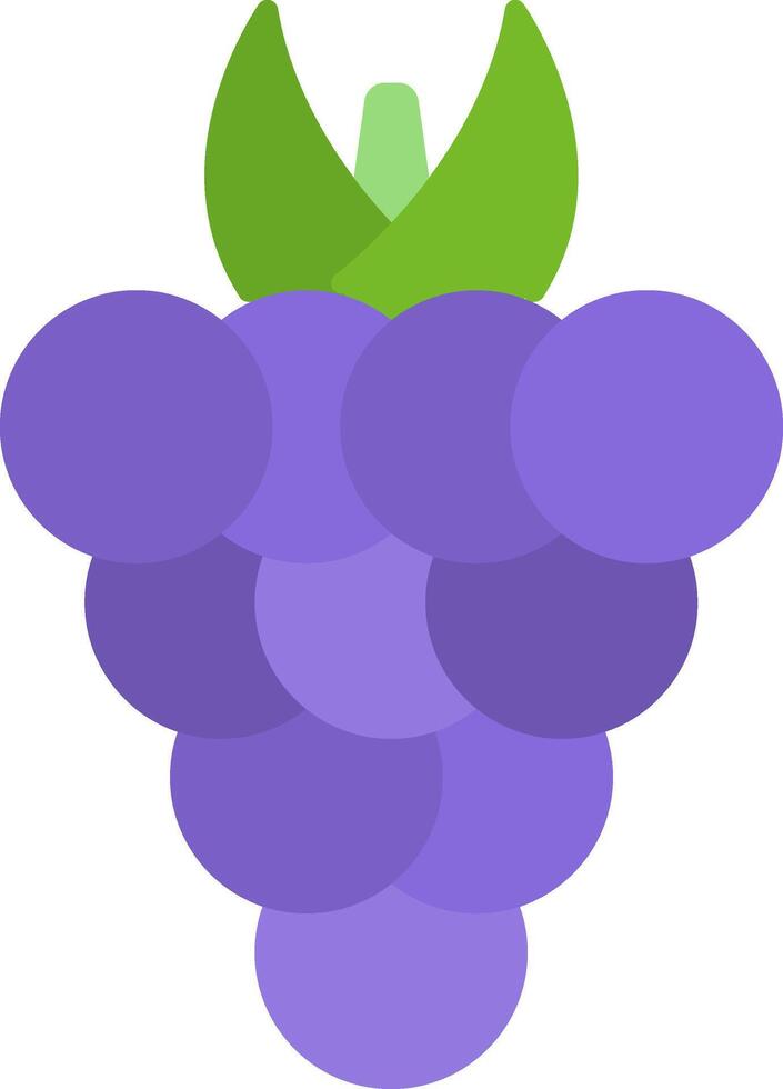 Blackberry Flat Icon vector
