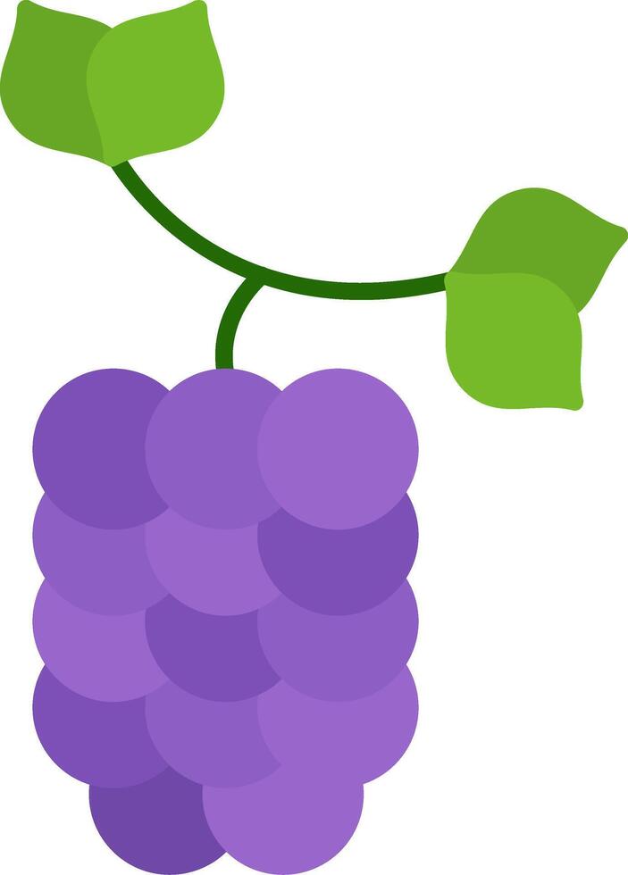 Mulberry Flat Icon vector