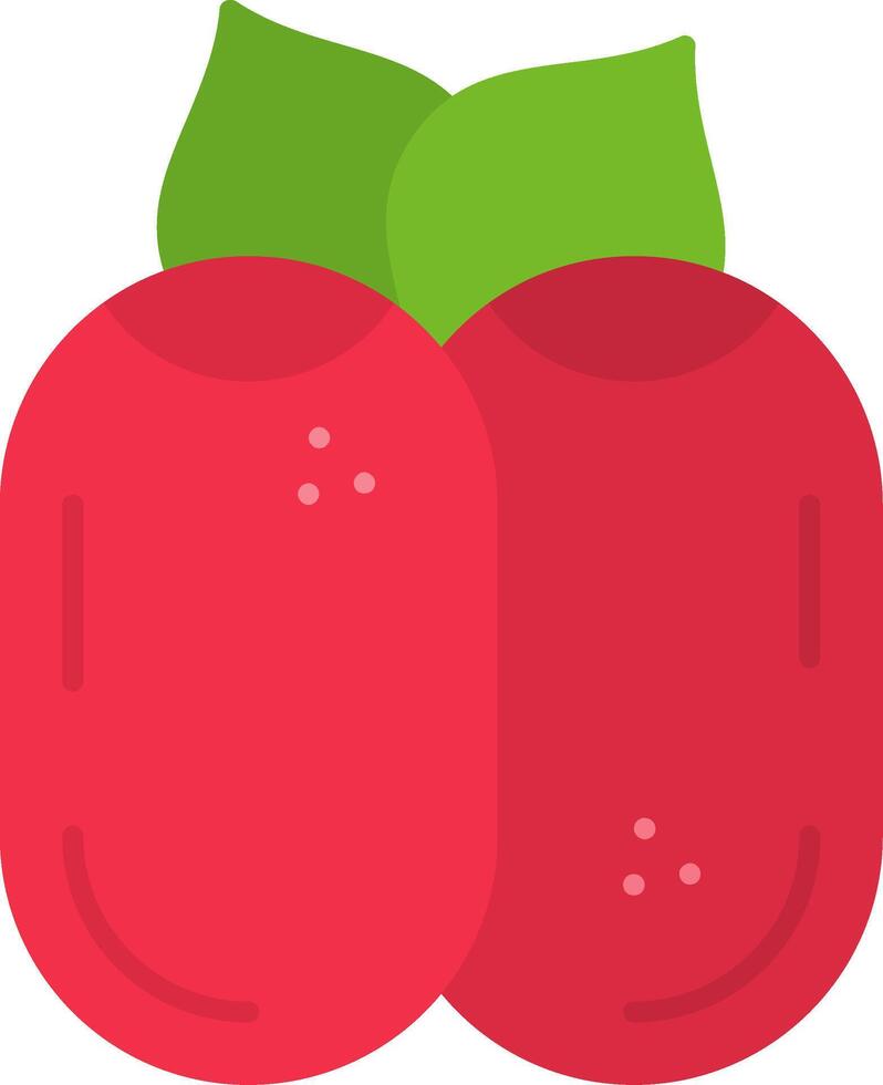 Miracle Fruit Flat Icon vector