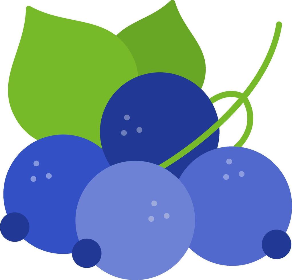 Whitecurrant Flat Icon vector