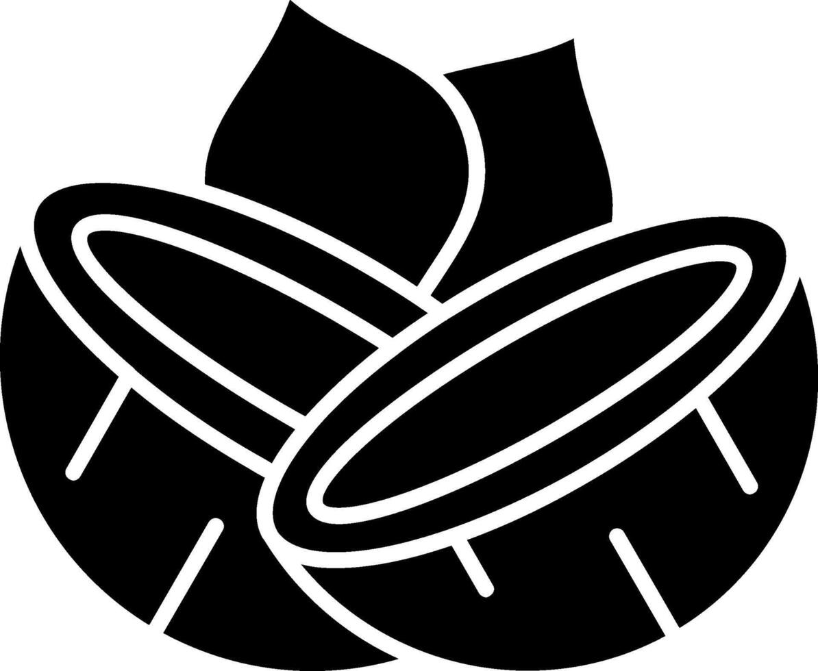 Coconut Glyph Icon vector