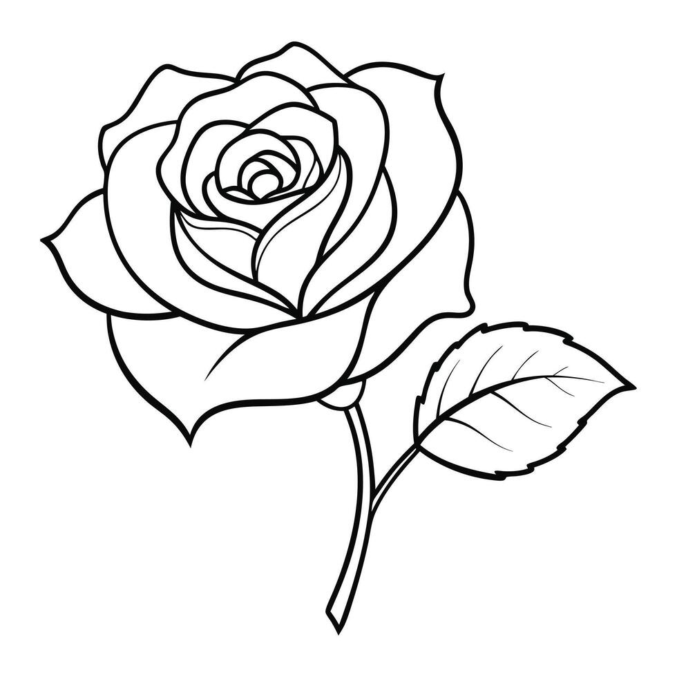 a rose is outlined in black and white vector