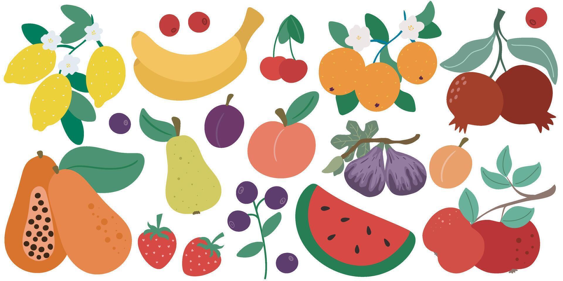 Simple set of different fruits and berries vector