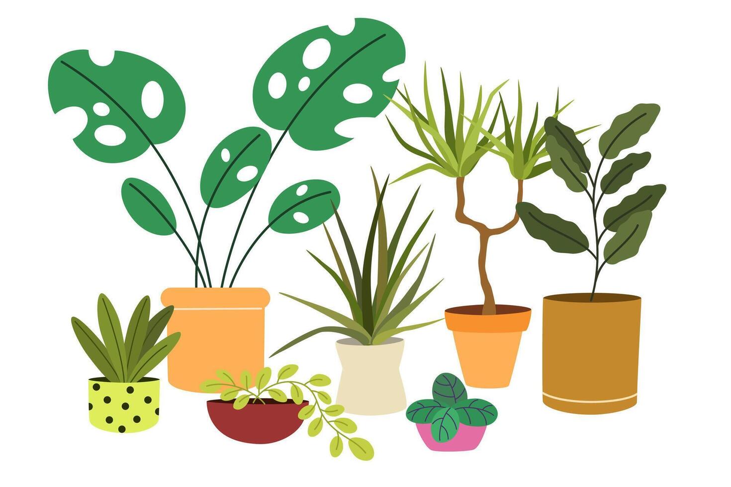 Indoor plants in pots. Green-leaf houseplants composition. Home garden with house greenery, vegetation, succulent in planter, basket, flowerpot. Flat illustration isolated on white background vector