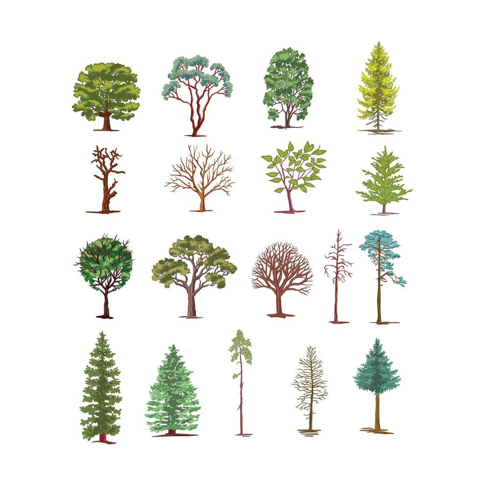 Large set of various deciduous bushes and trees. color illustration vector