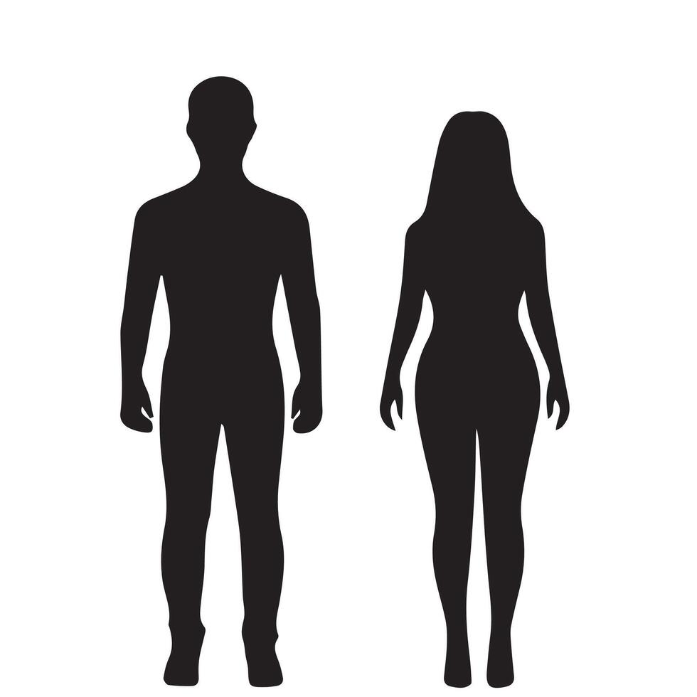 Silhouette of male and female figures. Human body. vector