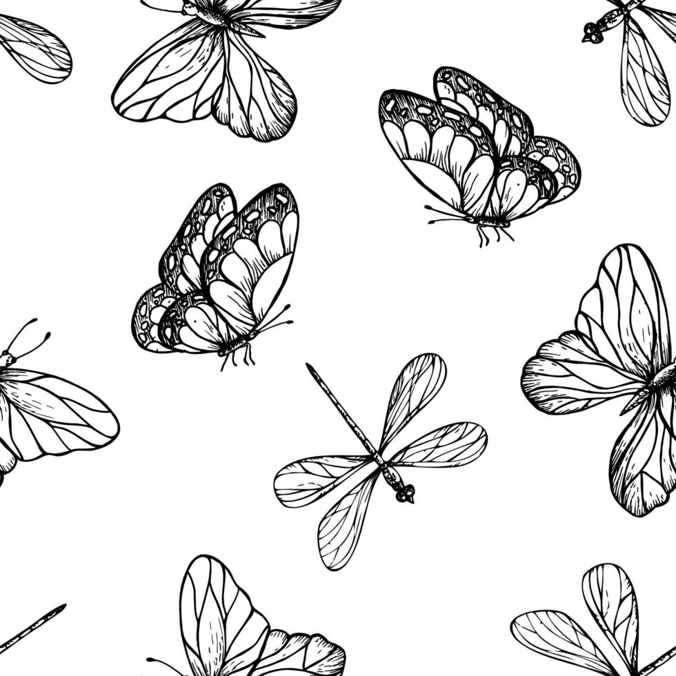 Seamless pattern with dragonflies and butterfly. Hand painted linear insects. Graphic clipart isolated on background. Botanical and wedding illustration. For designers, invitations, decoration vector