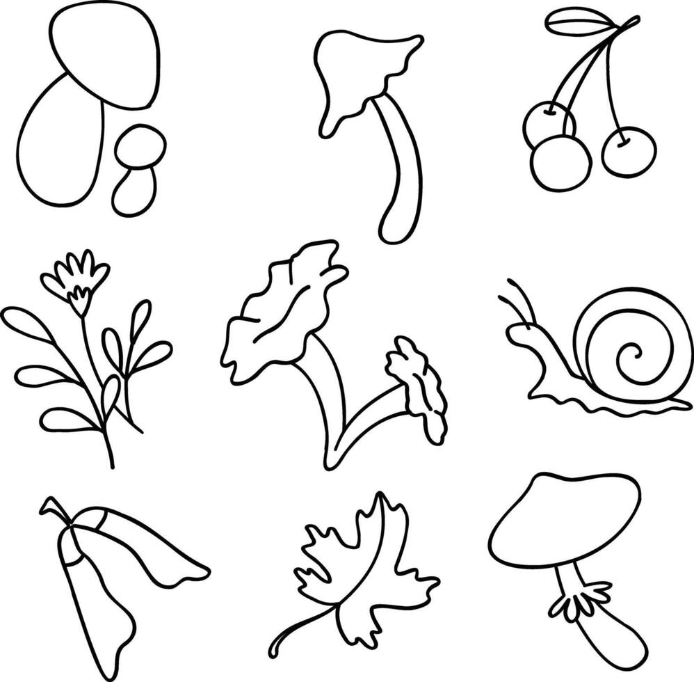 Set of autumn forest plants, mushrooms, leaves, berries. Autumn season. Hand-drawn simple, cartoon outline illustrations. Autumn collection. Set of isolated forest elements. vector