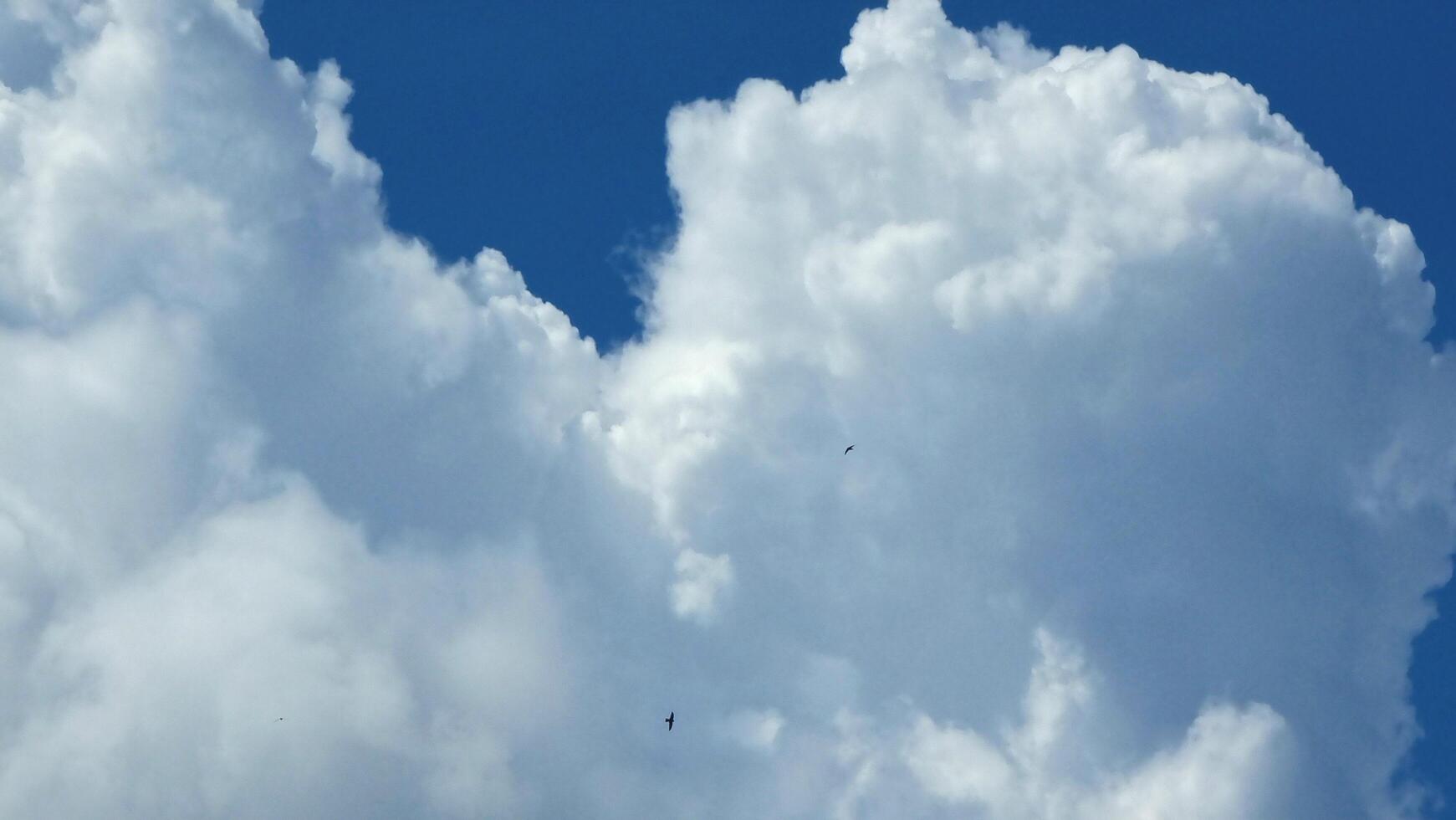 Beautiful clouds sky photography with two birds flying photo