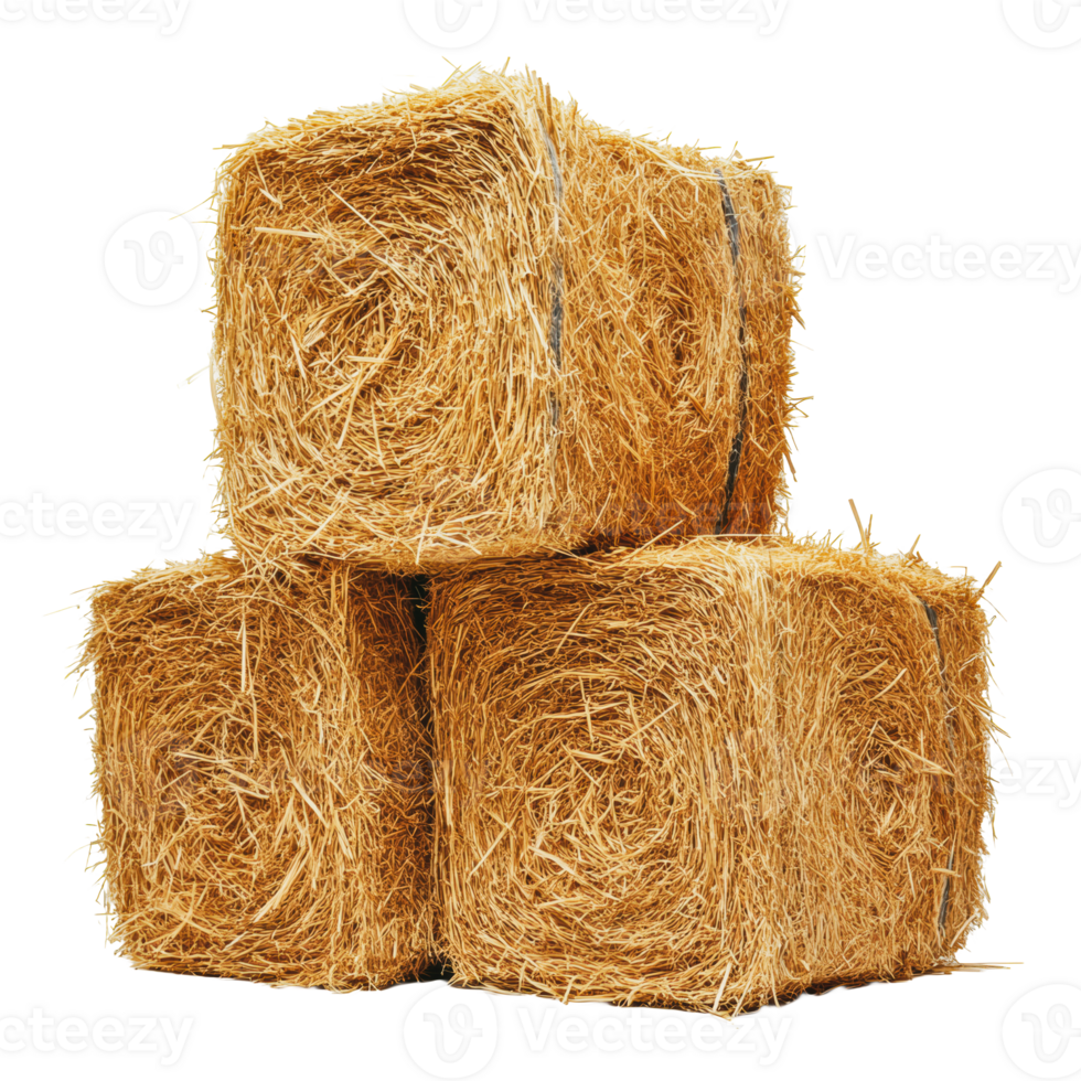 Stacked hay bales on a farm in bright daylight png