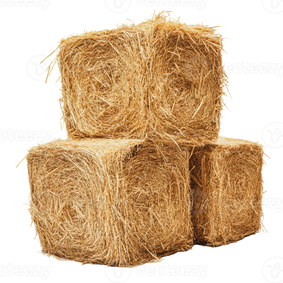 Stacked hay bales in a farm setting png