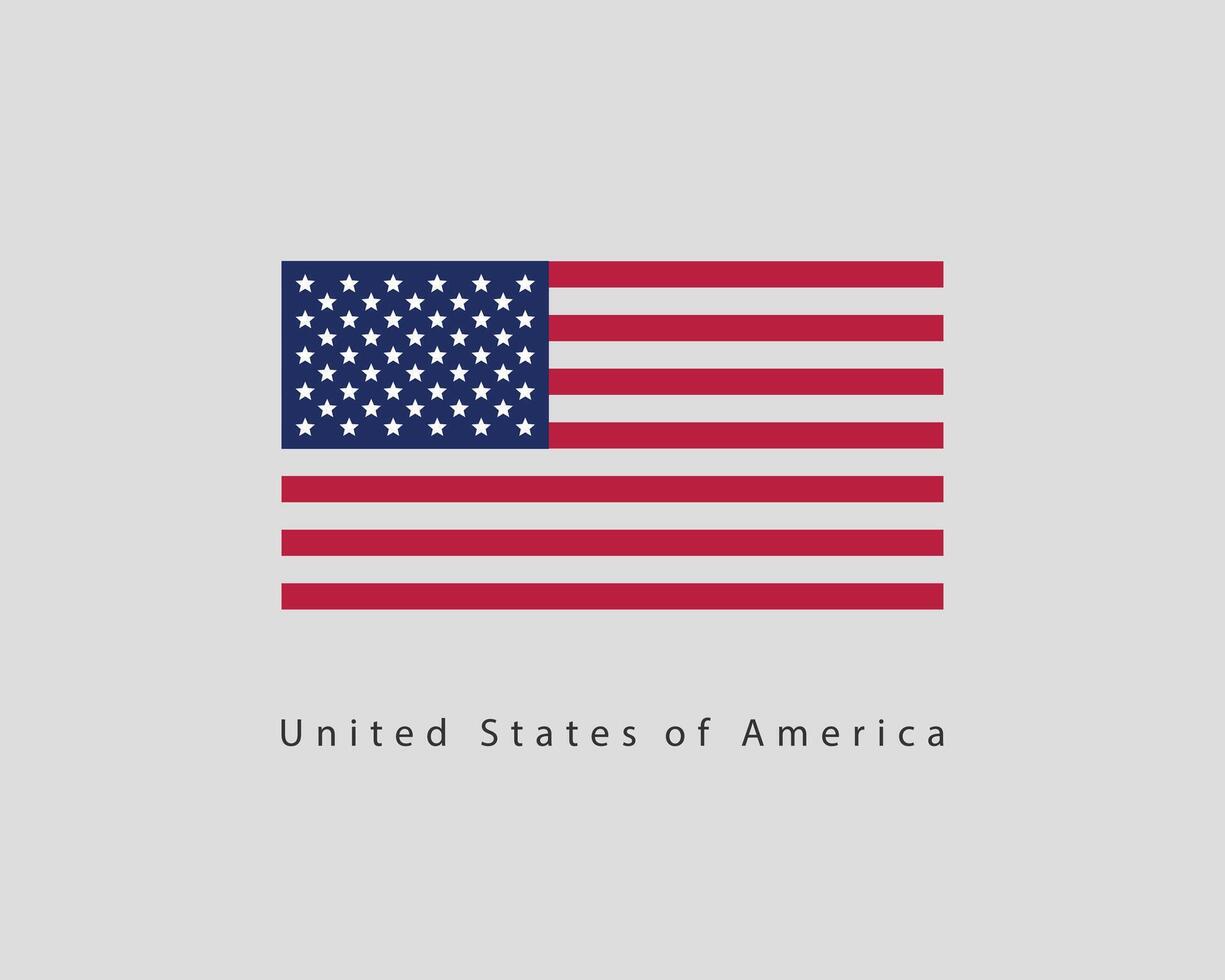 USA flag . Modern style United States of America symbol. American banner design element vector