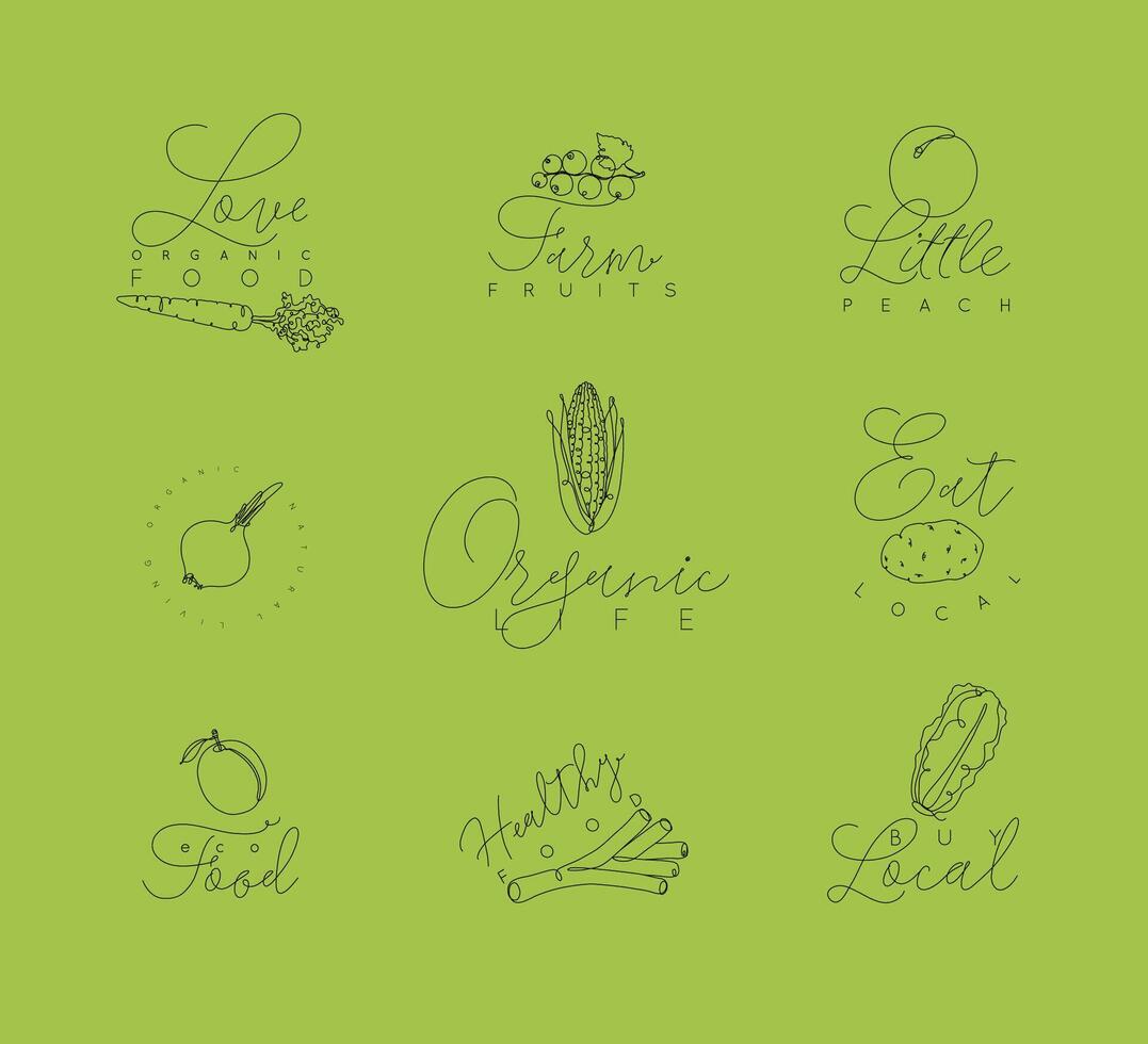 Vegetables and fruits symbols with lettering in pen hand drawing lines style on green background vector