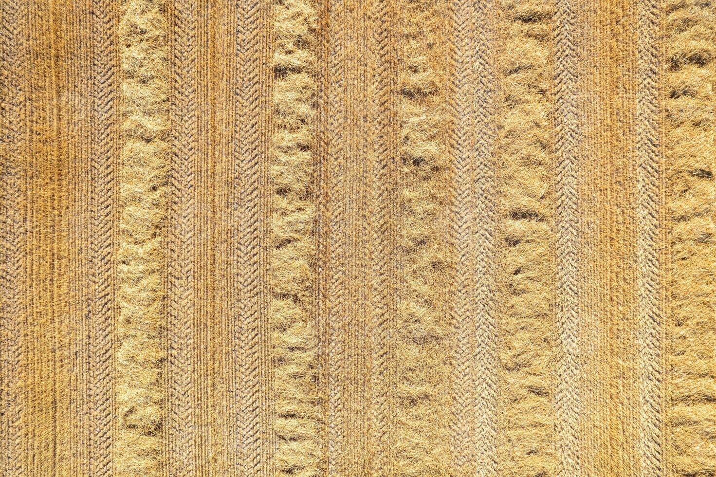 view of a recently harvested wheat field, aerial top view from a drone photo