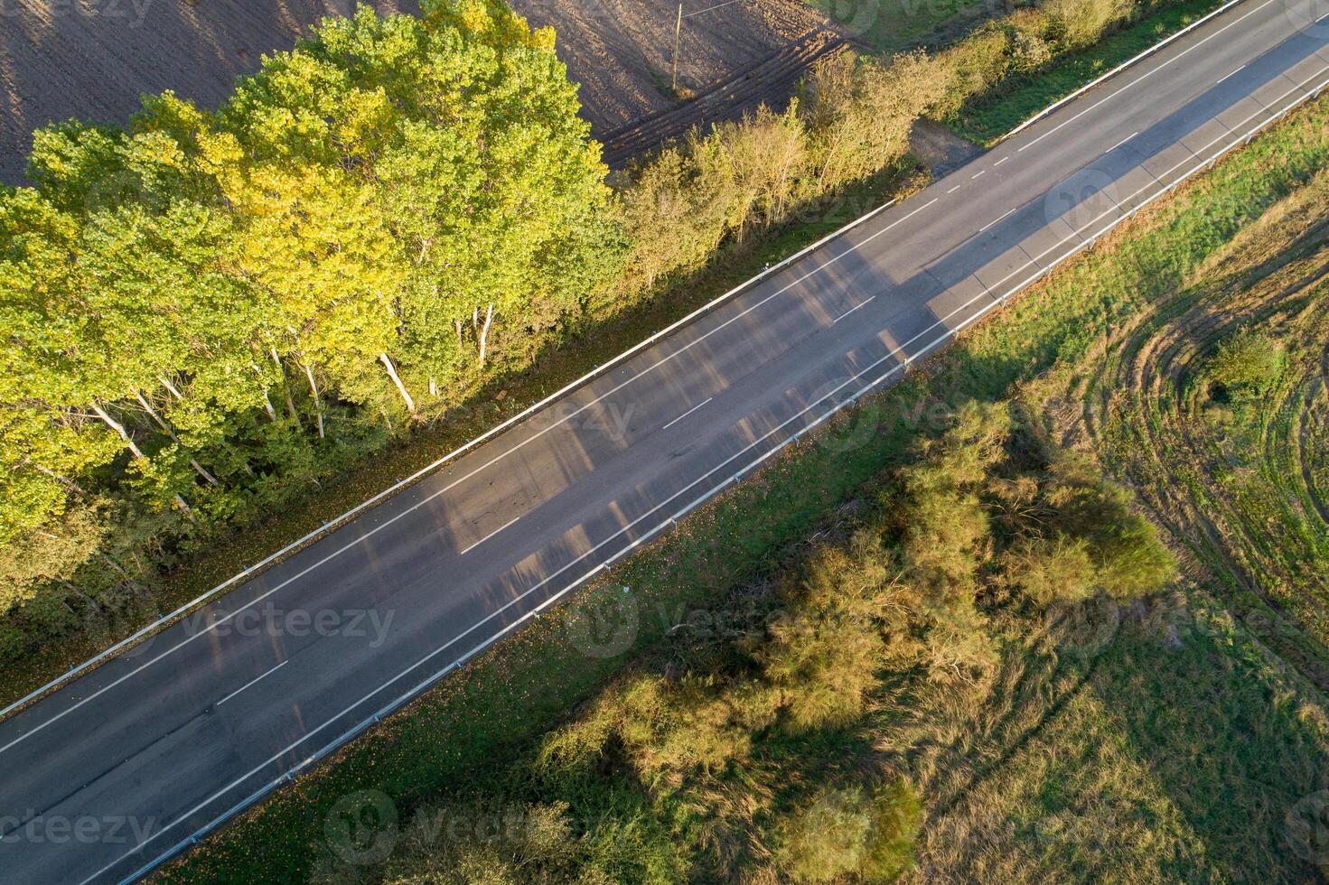 Drone aerial view of a road through trees at sundown photo