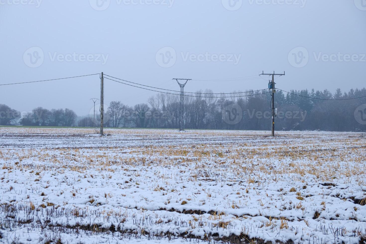 agricultural field covered with snow and some electric poles. Winter time photo