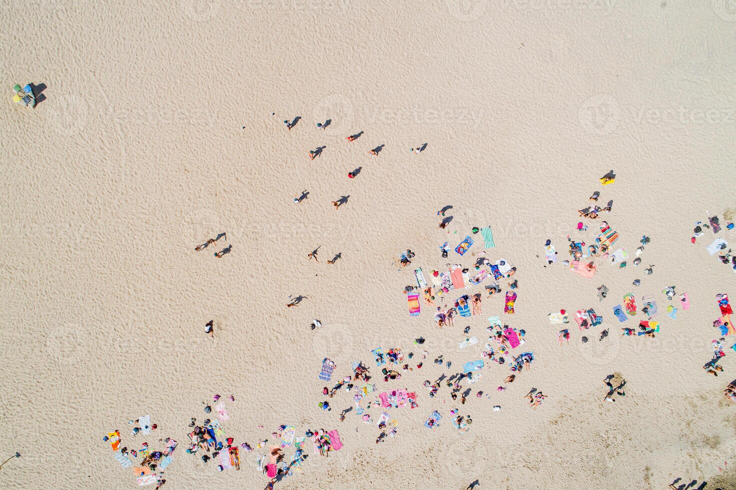 drone zenithal aerial view of a beach with people in summer photo