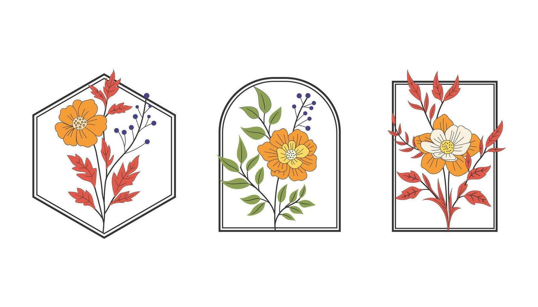 hand drawn vintage retro botanical feminine flower, vector