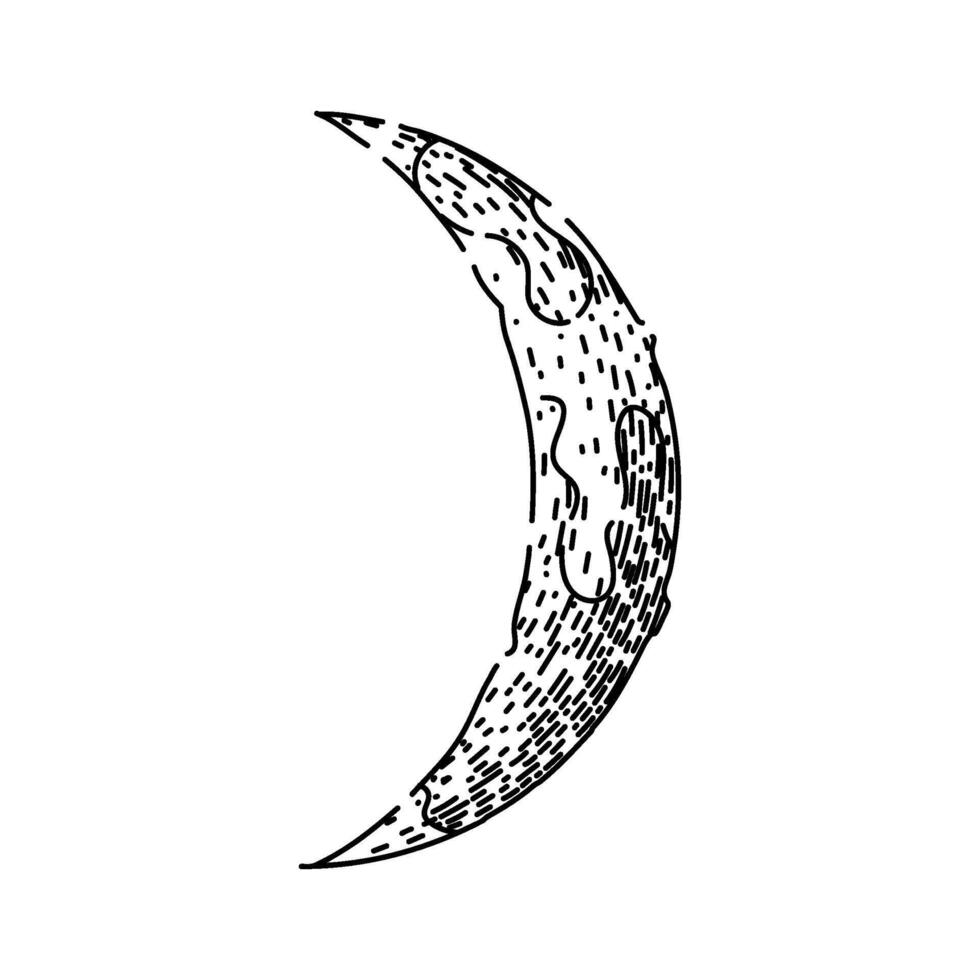 phases moon sketch hand drawn vector