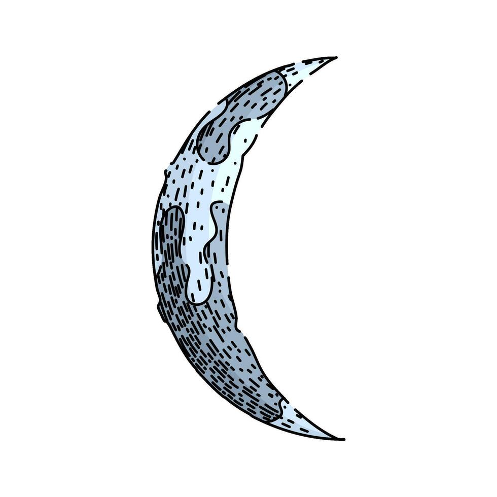 phases moon sketch hand drawn vector