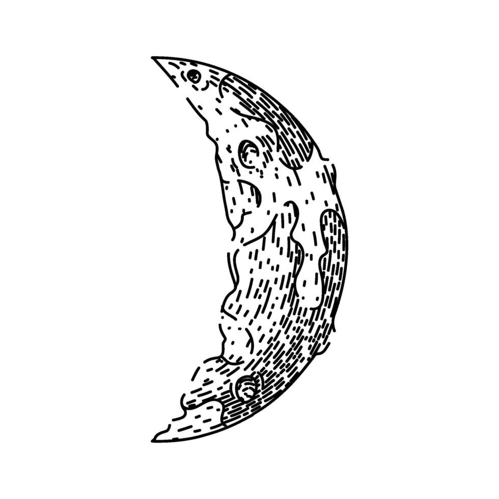 lunar moon sketch hand drawn vector