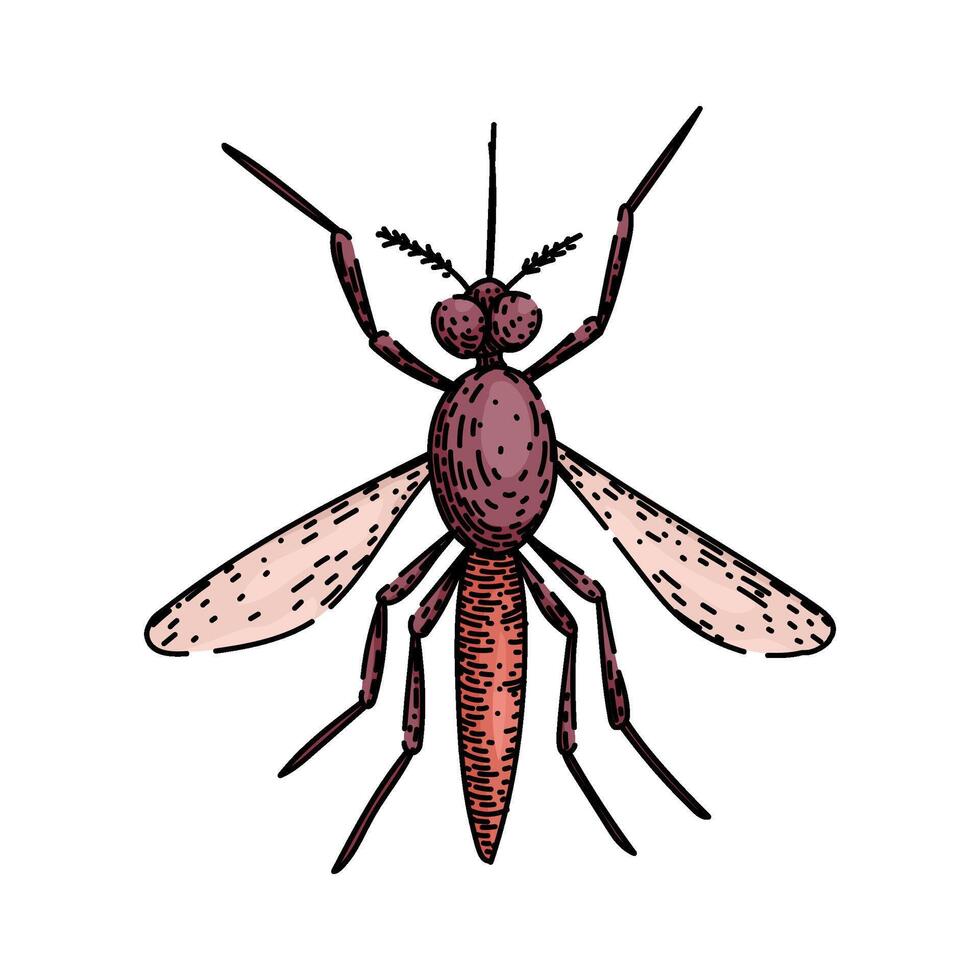 virus mosquito sketch hand drawn vector