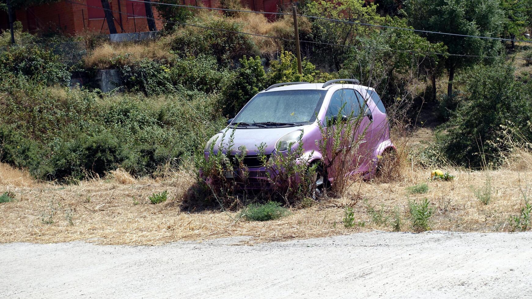 A pink car abandoned among the trees not far from the road in the summer. photo