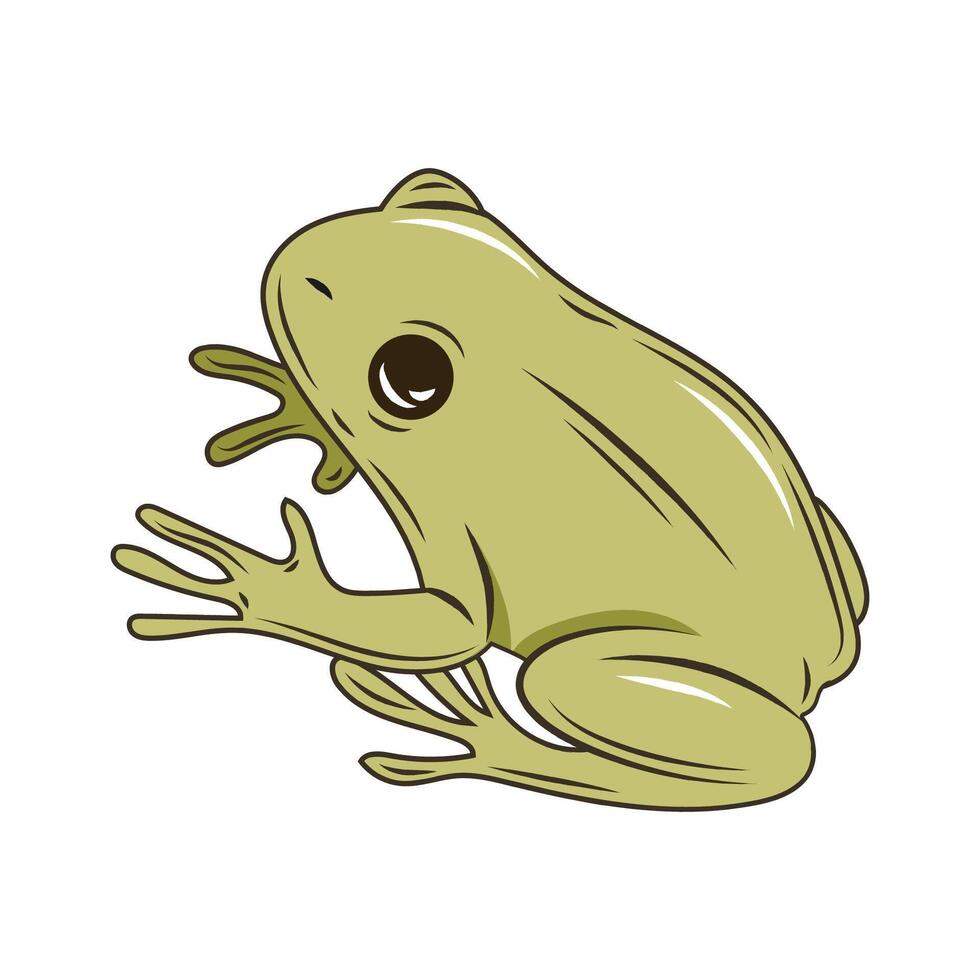 green frog illustration vector