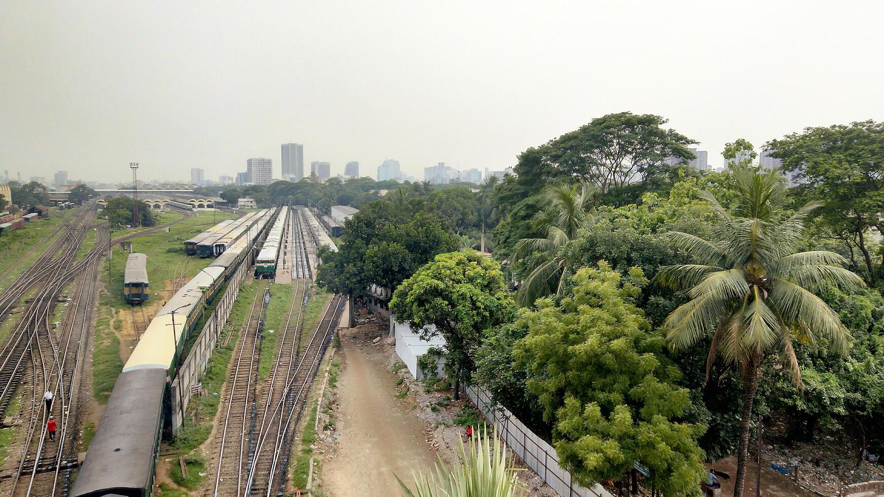 Surface level of railway tracks along green plants photo