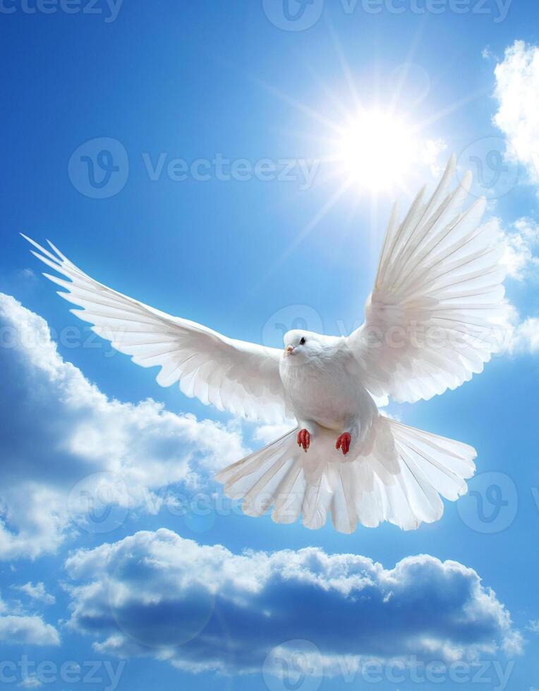 A majestic white dove soars under a bright sun, wings spread wide against a backdrop of blue sky and fluffy clouds, symbolizing hope and peace. photo