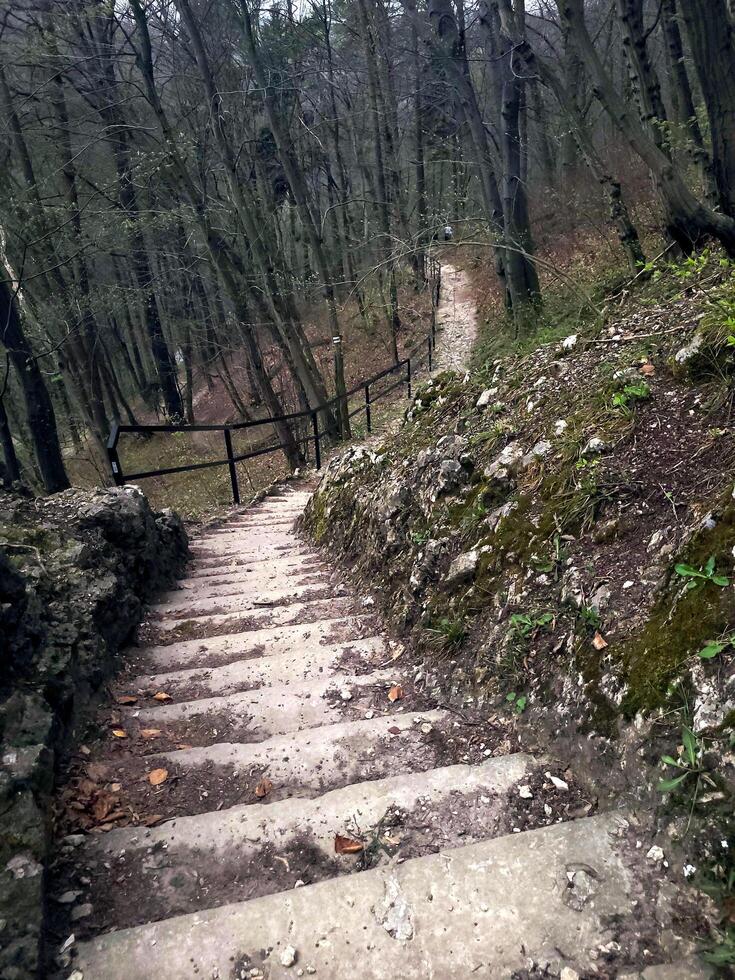 Path in the woods with stone steps photo