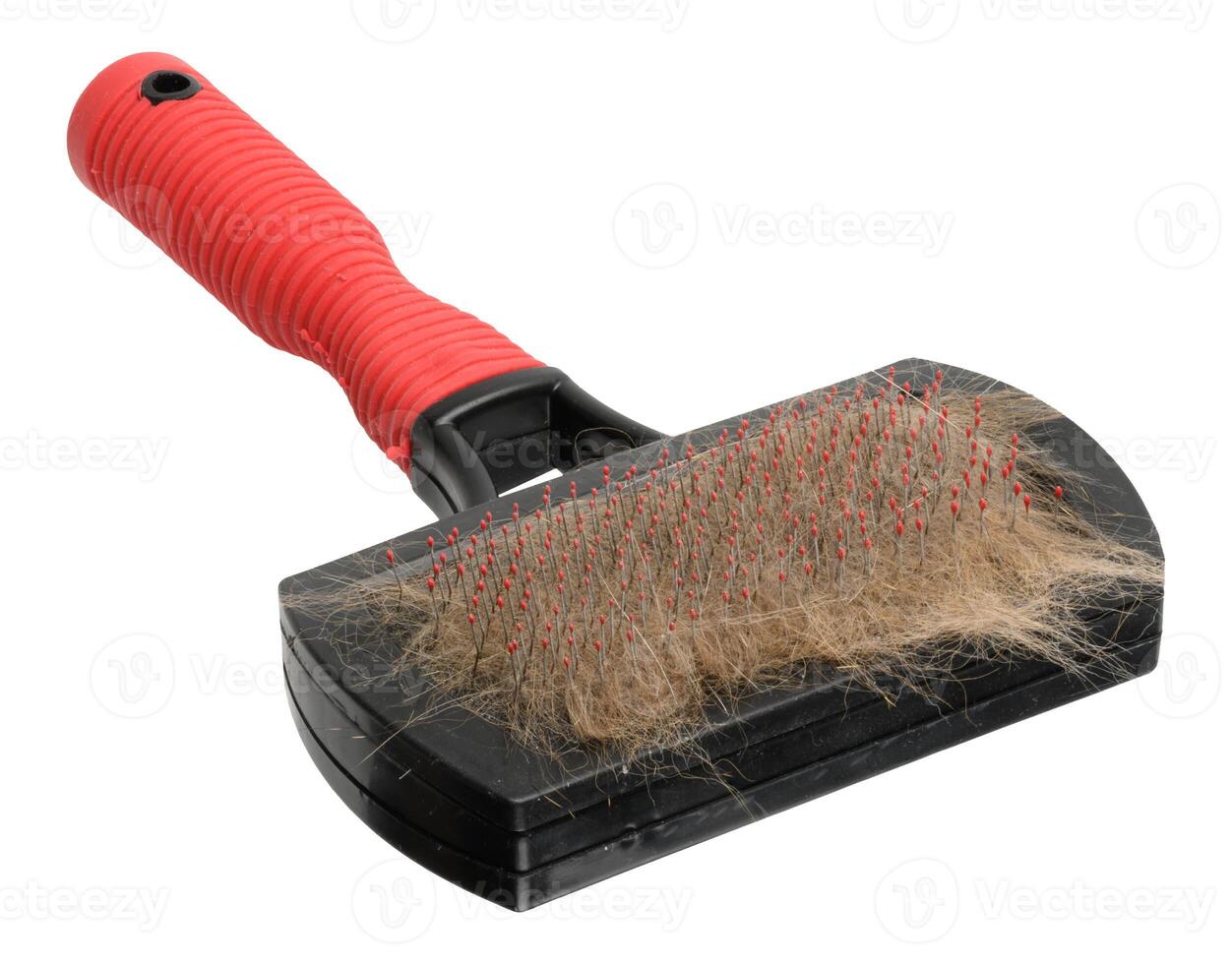 Comb for dogs and cats with fur on isolated background photo