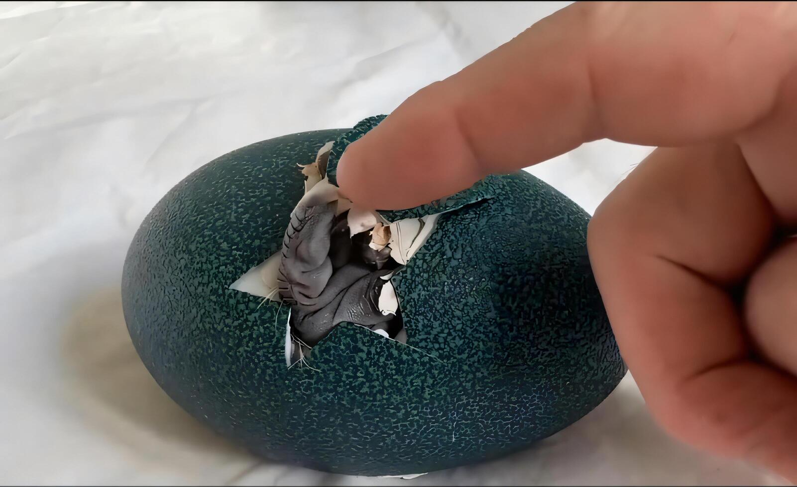 Index finger touching an emu breaking out of an egg on a white background. photo