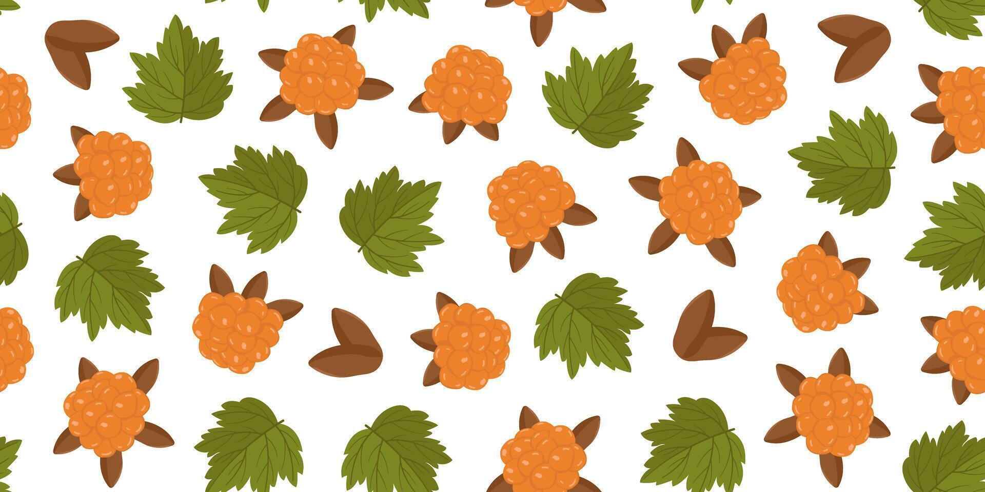 seamless pattern with leaves and cloudberry berries. Autumn repeating pattern with an orange berry. Botanical drawing in a horizontal form. Image for wallpaper, packaging and postcards. vector