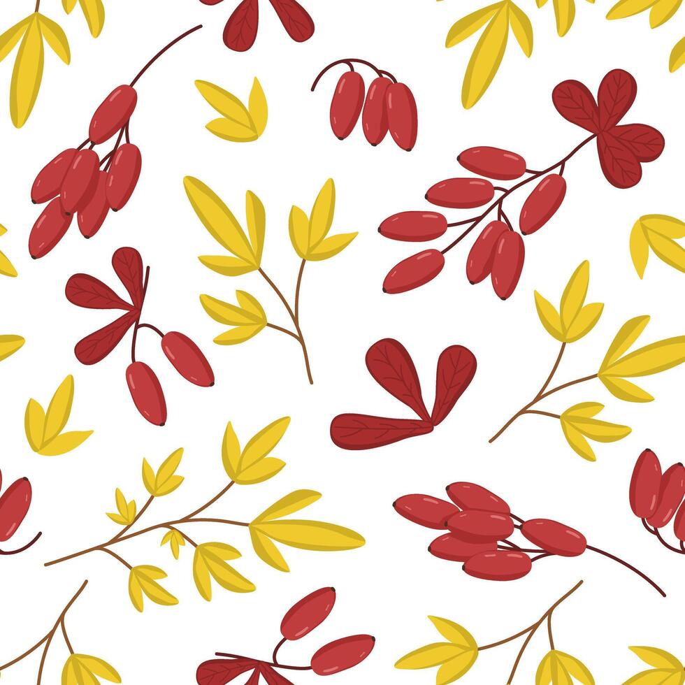 seamless pattern with yellow leaves and branches of berries. Autumn repeating pattern with a barberry berry. Botanical drawing. Image for wallpaper, packaging and postcards. vector