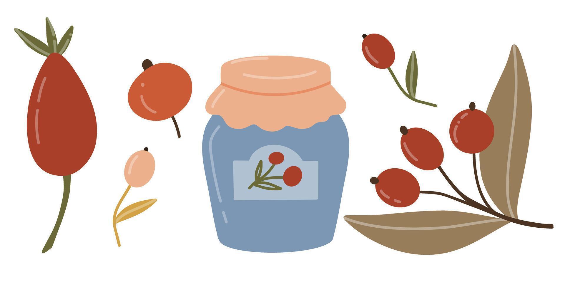 Berries of different shapes and colors with jar of jam. illustration in flat style. Elements for autumn design for harvest festival, food. Fruits of berries of red and peach color. vector