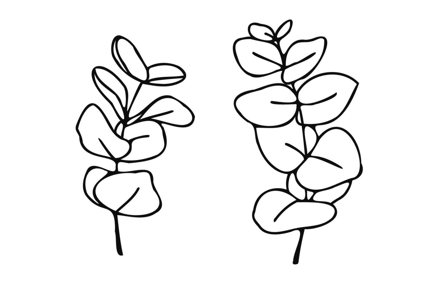 A simple black and white hand drawn illustration of eucalyptus leaves. minimalist design is perfect for botanical-themed projects, line art, nature-inspired decorations, modern graphic designs. vector