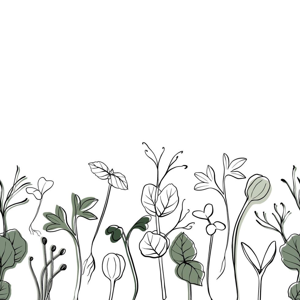 Seamless banner with hand drawn microgreen illustration. Contour sprouts of watercress, spinach, mustard cress and peas, radish, onion, sunflower, basil plant. Frame for menu, healthy lifestyle vector