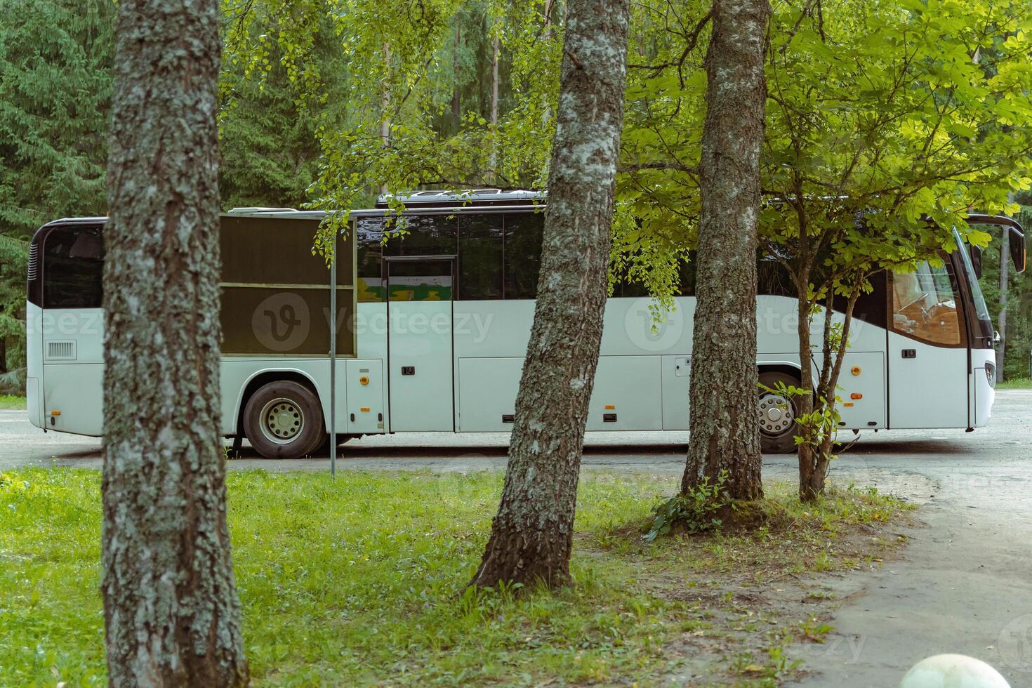 A travel bus is parked under trees in a quiet area photo