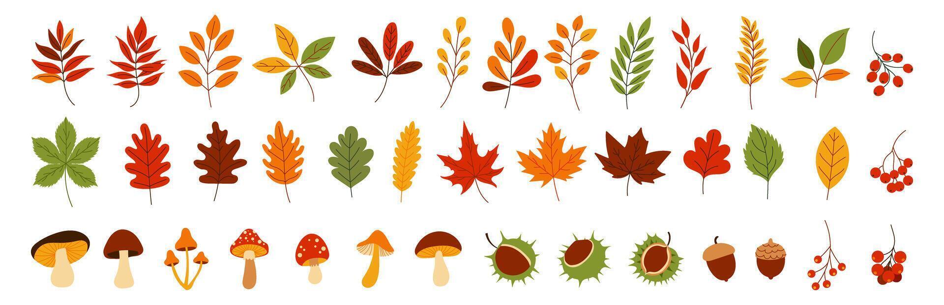 A collection of autumn leaves and mushrooms. The mushrooms are scattered throughout the image, with some in the foreground and others in the background. The leaves are of various sizes and shapes vector