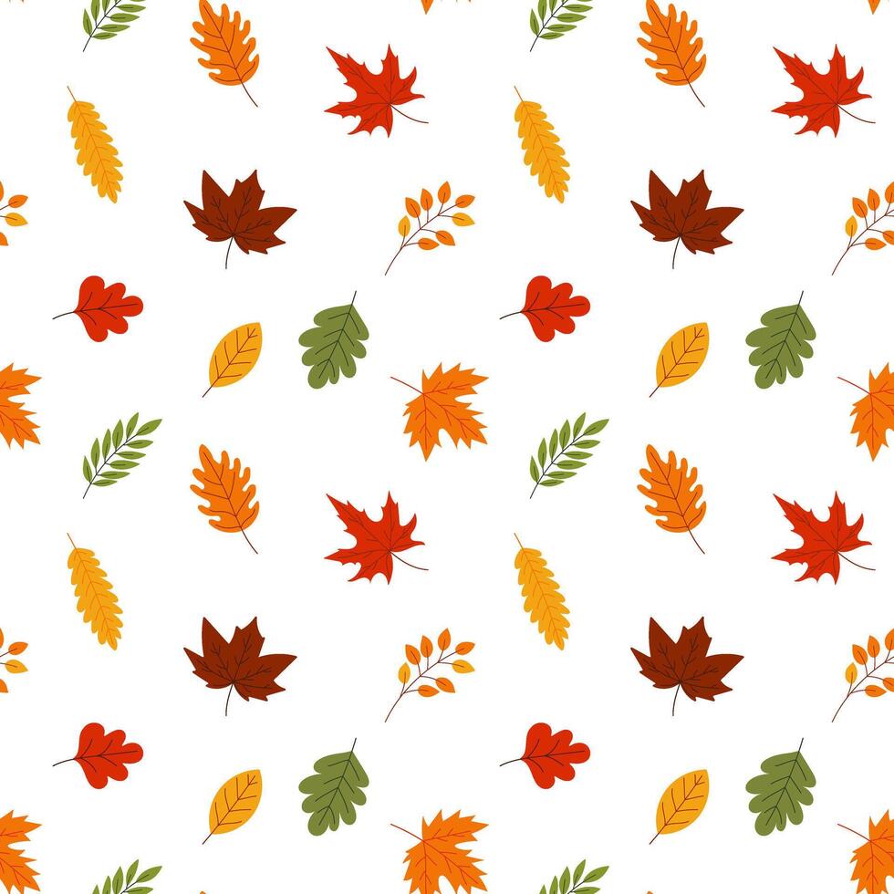 A pattern of fall leaves is shown in various colors, including red, yellow vector