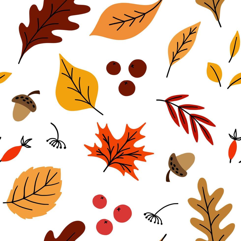 Seamless pattern with acorns and autumn leaves and berries vector