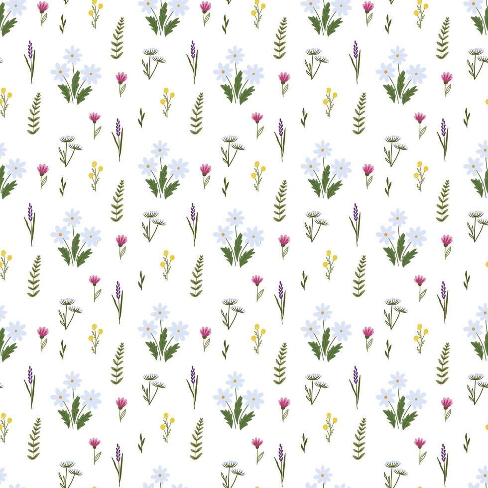 Seamless pattern with wild flowers on a white background. Romantic floral print vector