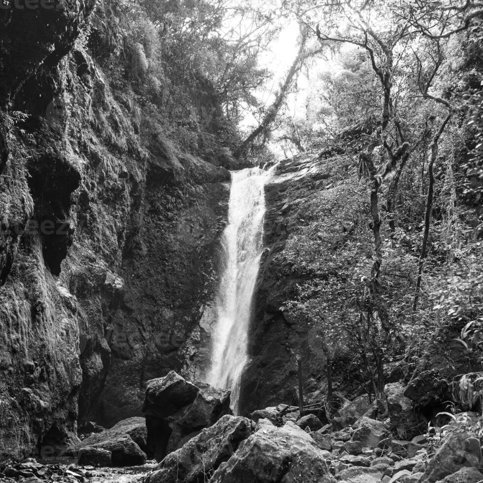 black and white photography of waterfall in valley with rocks and trees photo