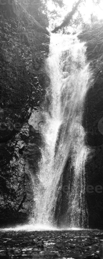 black and white photography of waterfall in valley with rocks and trees photo