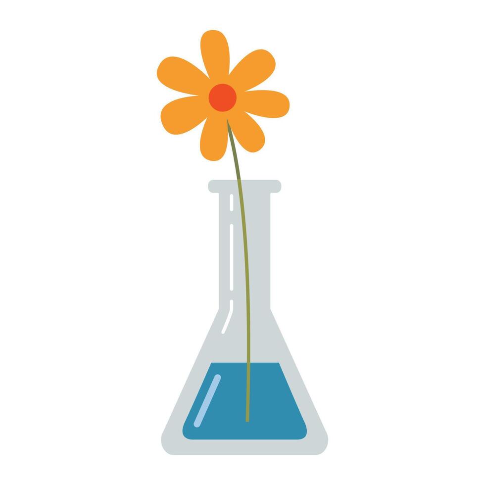 Laboratory test tube, flask with a flower. Transparent glassware with chemical reagents. Experiment equipment for chemistry lessons. illustration isolated on white, flat design vector